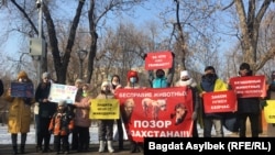 Жануарларды қорғаушылар акциясы. Азаттық архивіндегі фото.
