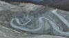 Image result for мілаш