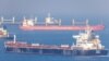A cargo ship carrying Ukrainian grain in the Black Sea near Istanbul (file photo)