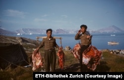 Мажи на Гренланд во 1950-тите