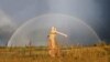 Image result for "Георгі Лепін"