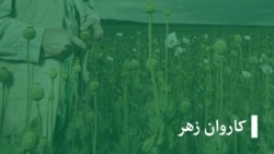  روانشناسان: اعتیاد اعتماد به نفس را از بین میبرد 
