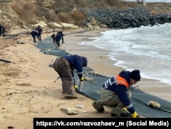 Сотрудники спасательной службы Севастополя устанавливают на побережье препятствия для мазута из российских танкеров, потерпевших крушение в Керченском проливе, 17 января 2025 года