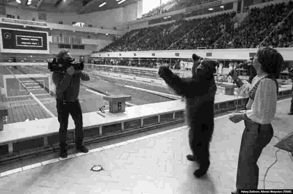 A bear applauds the opening of the Olympic swimming pool in Moscow. 